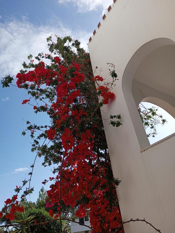 Castello Apartments&Studios Plakias Exterior foto